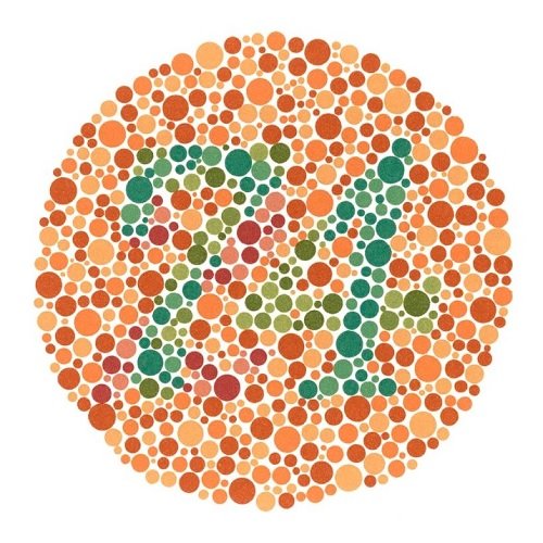 Ishihara plate